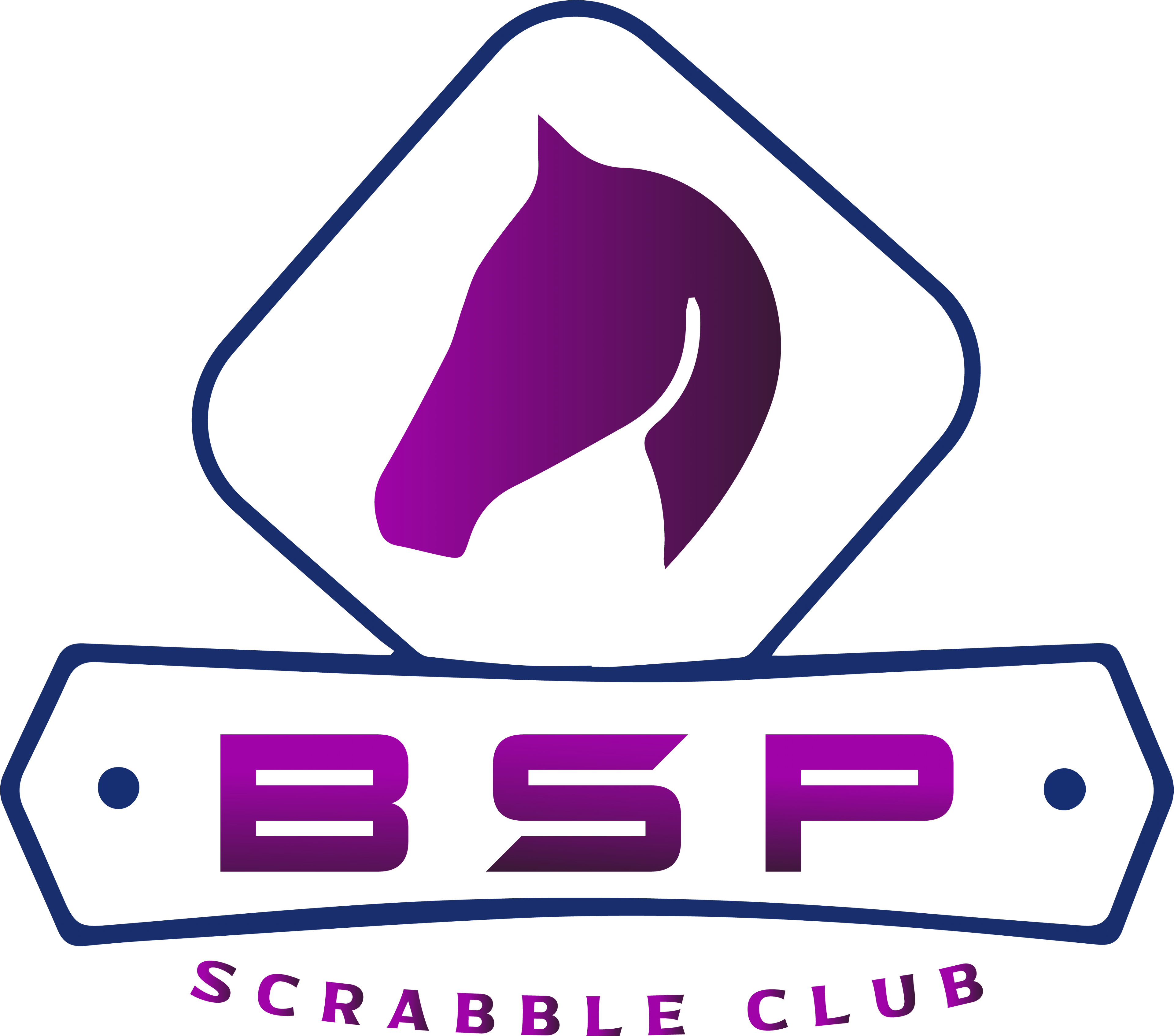 bsp-logo